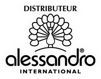 Le Centre De Formation Alessandro Formation Esthétique